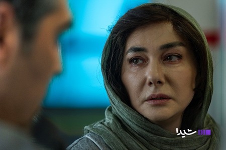  عکس گربه های پشمالو