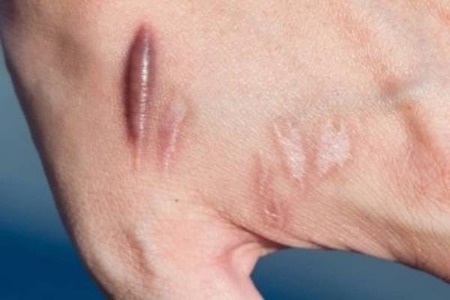 فغانی به حاشیه های مسابقه فینال واکنش نشان داد